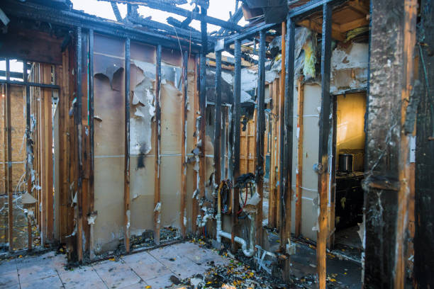 Professional Odor Removal technician working in Bourbon, MO